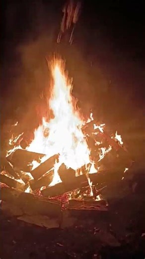 Burning Out a Tree Stump - The Easy Way part 5