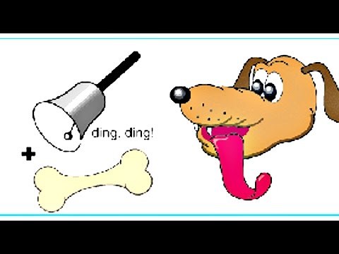 Classical Conditioning 🔔 Ivan Pavlov's Dog 🔔 Experiments with Stimuli and Extinction