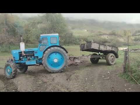 The incredible power of the T-40 tractor, we bring firewood with a heavy load.