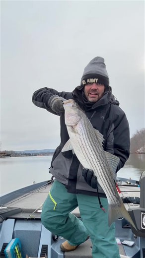 Winter striped bass fishing Smith Mountain Lake Virginia. #fishing #outdoors #stripedbassfishing #striper #fishingvideos