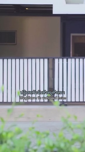 เพลงไอ้หมูไอ้หมา - บิวพงค์พิพัฒน์