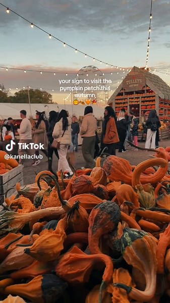 Visit the Pumpkin Patch This Autumn Season