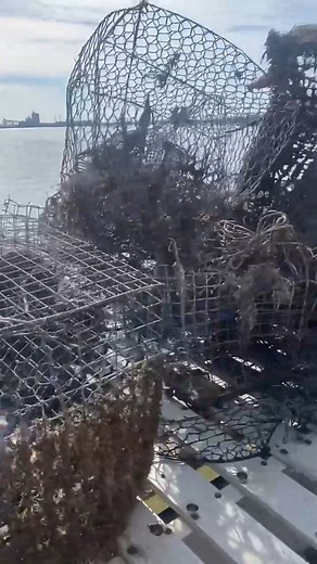 Found some eel pots doing ghost pot recovery. No animals were harmed in the making of this sub par video. #youaintnocrabber #bluecollar #DIY #waterman #commercialfishing #fvsoutherngirl #crabpots #marylandcheck | McFadden Luke Reels