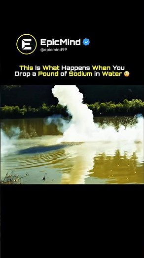 What Happens When Sodium Metal Meets Water