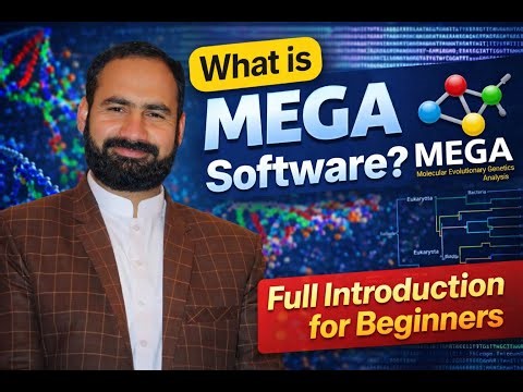What is MEGA Software? Full Introduction to Molecular Evolutionary Genetics Analysis for Beginners