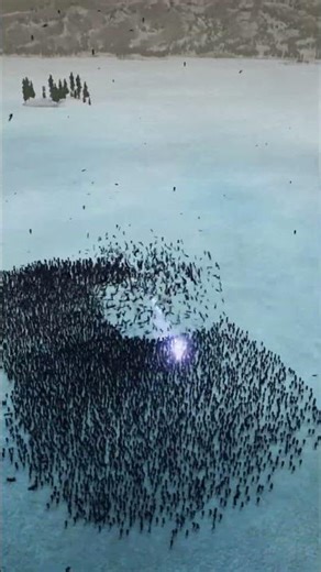 ⚡ THOR vs 10,000 TRUMPS… WHO WINS?! 🤯💥