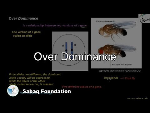 Over Dominance, Biology Lecture | Sabaq.pk