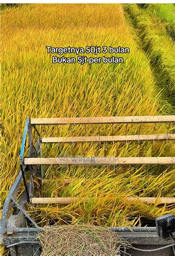 Strategi Mencapai Target 50 Juta Dalam 3 Bulan