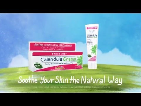 Soothe Your Skin the Natural Way with Calendula Cream