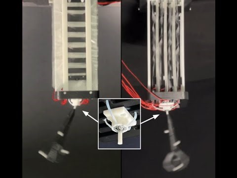 Self-Sensing Feedback Control of an Electrohydraulic Robotic Shoulder