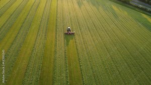 Harvesting on the farmland Combine Agriculture Machinery Technology Food Modification Crop Farming Concept