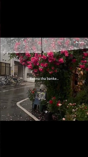 Finding Her 🤌🤍 | Aesthetic Lyrics Video #song​ #findingher​ #lyrics​