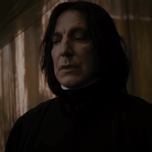 Severus Snape Quidditch Journey in Harry Potter