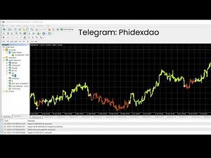 Convert any #forexea #ex4 / #ex5 To #mq4 / Mq5 with a premium #decompiler