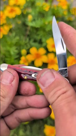 Red Bone Peanut Pocket Knife Absolutely Hits Different #shorts #knifereview #case