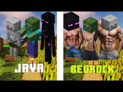 The difference between Minecraft bedrock vs Java