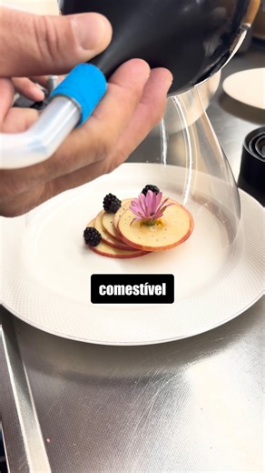 Ayslan Explica on Instagram: "A técnica “Smoke Bubble” é uma tendência moderna da gastronomia molecular usada para adicionar aroma e espetáculo aos pratos. Ela consiste em criar uma bolha de sabão comestível, feita com uma base de açúcar e ingredientes seguros para consumo. Dentro dessa bolha, o chef injeta fumaça aromatizada com um defumador portátil, que se libera ao estourar. Além de encantar visualmente, o método realça o sabor e o aroma da comida. É uma combinação perfeita de arte, ciência 