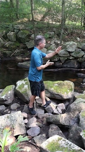 Sun Style Tai Chi #taichi #qigong #kungfu #stressrelief