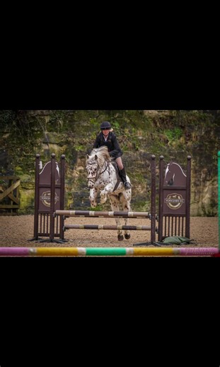 Proud of myself for remembering this course 😊 it’s all thanks to this boy 🐴 he’s an absolute legend who I adore and I know he will always look after me 🥰@Onlyhooves/stubbornasfunk @bettysridingjourney @Dora.eq 🐴 @Georgia @Annabelle_eq🤍✨️ @Abi_Equestrian.Edits 🫶 @racingsolo #riding #horses #jumping #firsttimecompeting