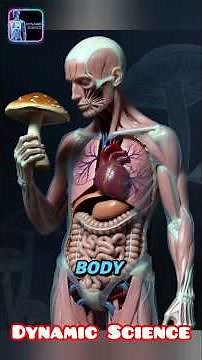 What Happens to Your Body When You Eat Mushrooms? | Brain, Gut & Energy Benefits Explained in 3D #3d