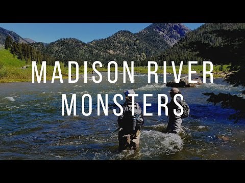 Fly Fishing the Madison River in Montana