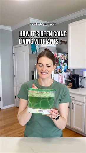 How it’s going 🐜 #antfarm #antupdate #gelantfarm #ants #momlife #update #howitsgoing #westernants