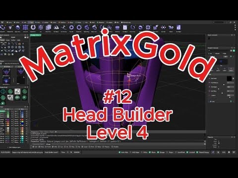 #12 MatrixGold Head Builder Level 4
