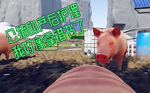 我今天就是要做标题党，你咬我呀！养猪模拟器·沙雕游戏第三期