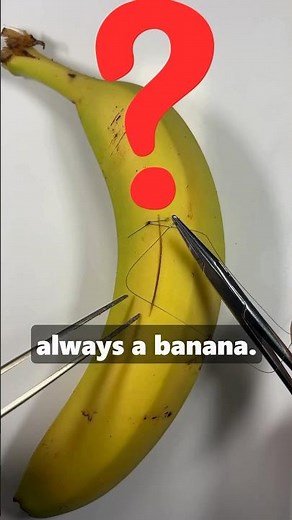 Why Surgeons Use Fruits As Suture Pad #medicine #doctor #surgeon #surgicaltechniques