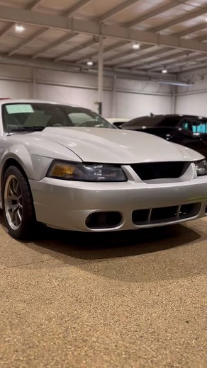 Car of the day 👀 | 2000 Ford Mustang SVT | $18,945 #mustang #musclecars #fordracing | Geneva Motorcars, LLC