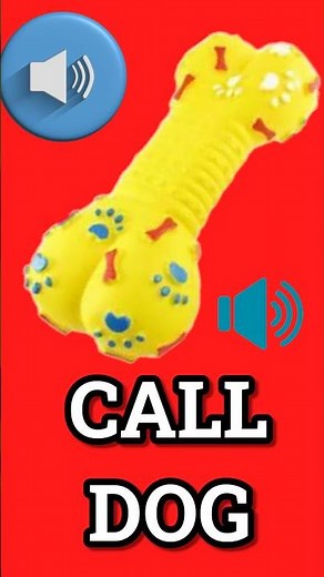 Sound to Call Dog #prankyourdog #barkingbliss #dogsound #squeaky