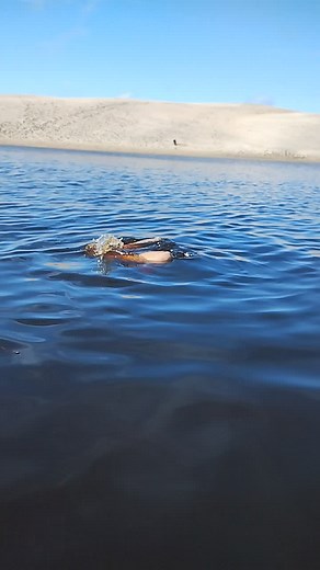 Playful Woman Swimming in Calm Lake on a Sunny Day