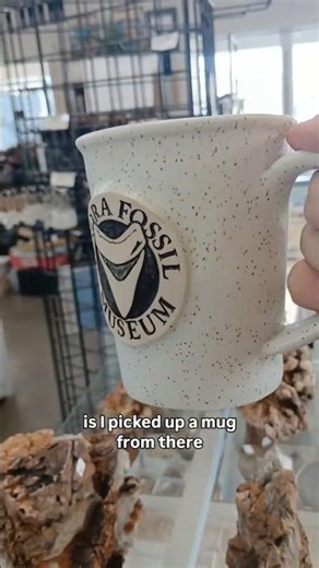 I Really Fell In Love With The Aurora Fossil Museum ❤️ #fossils #gems #nature #science #paleontology