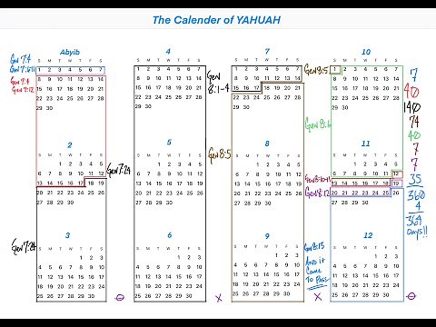 The 364 Day Calendar of YAHUAH