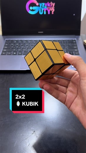 Solve the 2x2 Mirror Cube Challenge