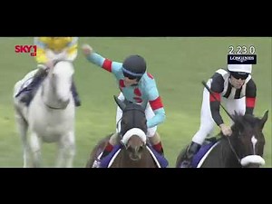 2020 JRA Japan Cup