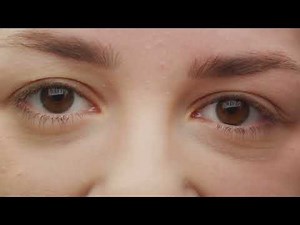 Sensation and Perception: Intro to Psychology