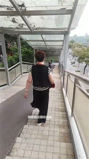 Secret to Cooking Like a Pro: Quick and Easy Chinese Recipes