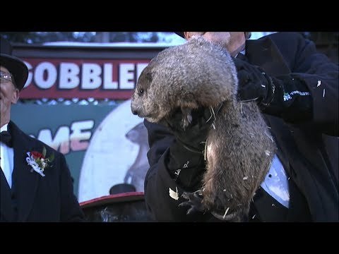 Groundhog Day 2018: Punxsutawney Phil's winter prediction live from Gobbler's Knob | ABC News