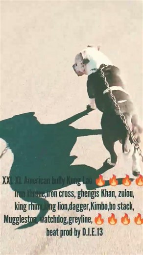 old-school XL XXL American bully bloodline Kung Lao 🔥🔥🔥🔥💯