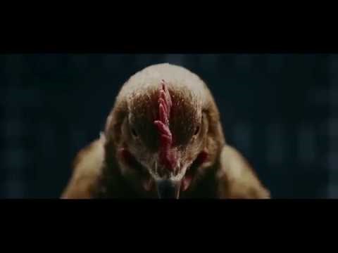 Mercedes Benz vs Jaguar