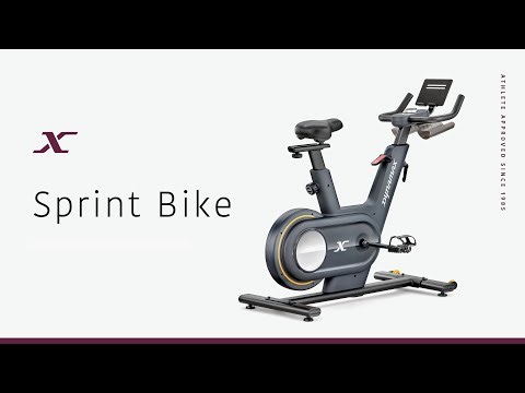 Dynamax Sprint Bike