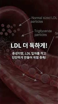 혈관의 시한폭탄 중성지방의 정체 #중성지방 #중성지방수치 #콜레스테롤