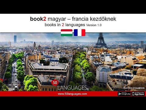 Francia kezdőknek 100 fejezetben