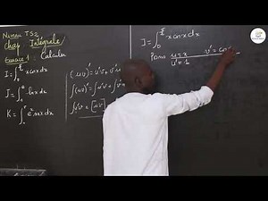 Exercices - Terminale S2 - Mathématiques : Intégrale / M. Boye