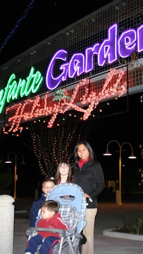 As we look ahead to the next 25 years, we are committed to keeping the magic alive. 🌳💫But we can’t do it alone. This giving Tuesday, we invite you to make a lasting impact. Your gift will help us: ✨ Preserve and enhance our beloved gardens and unique attractions ✨ Develop educational program that ignite curiosity in young minds ✨ Ensure families for generations to come can enjoy the wonder of Gilroy Gardens Visit the link in our bio to donate now and keep the magic growing for generations to c