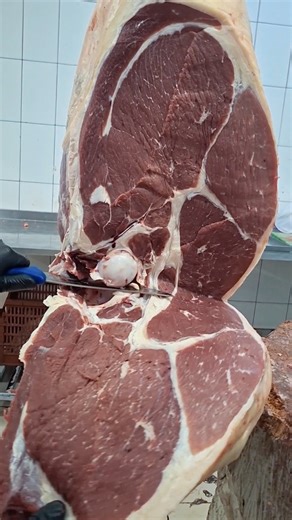 Abdulloh Nazirov on Instagram: "#alhamdulillah Extiyot Bolamiz Opalar Singillar 🫡✅️ . . . . . . . . .#shukurullohdomla"