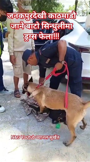 जनकपुरदेखी काठमाडौ जाने बाटो सिन्धुलीमा ड्रग्स फेला!!