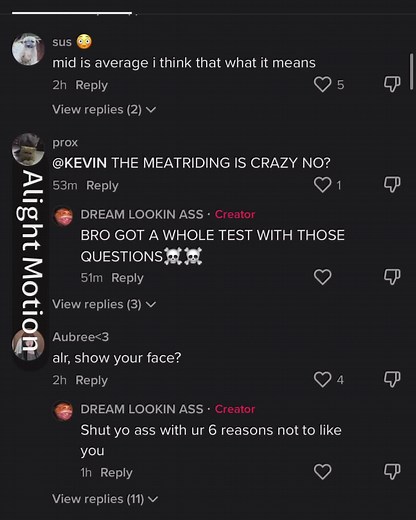 DREAM LOOKIN ASS on TikTok