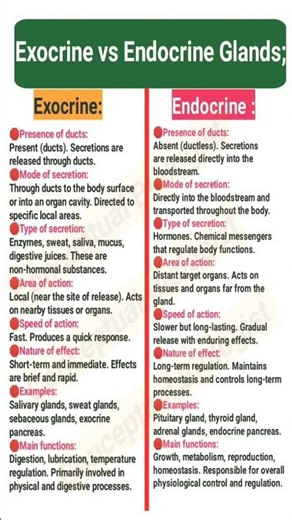 exocrine vs Endocrine gland